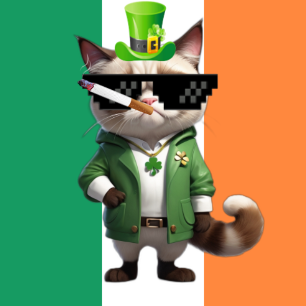 Grumpy Cat St Patrick's Day - ANONs Group #13
