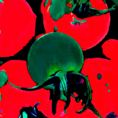 Acid Tomatoes Trip